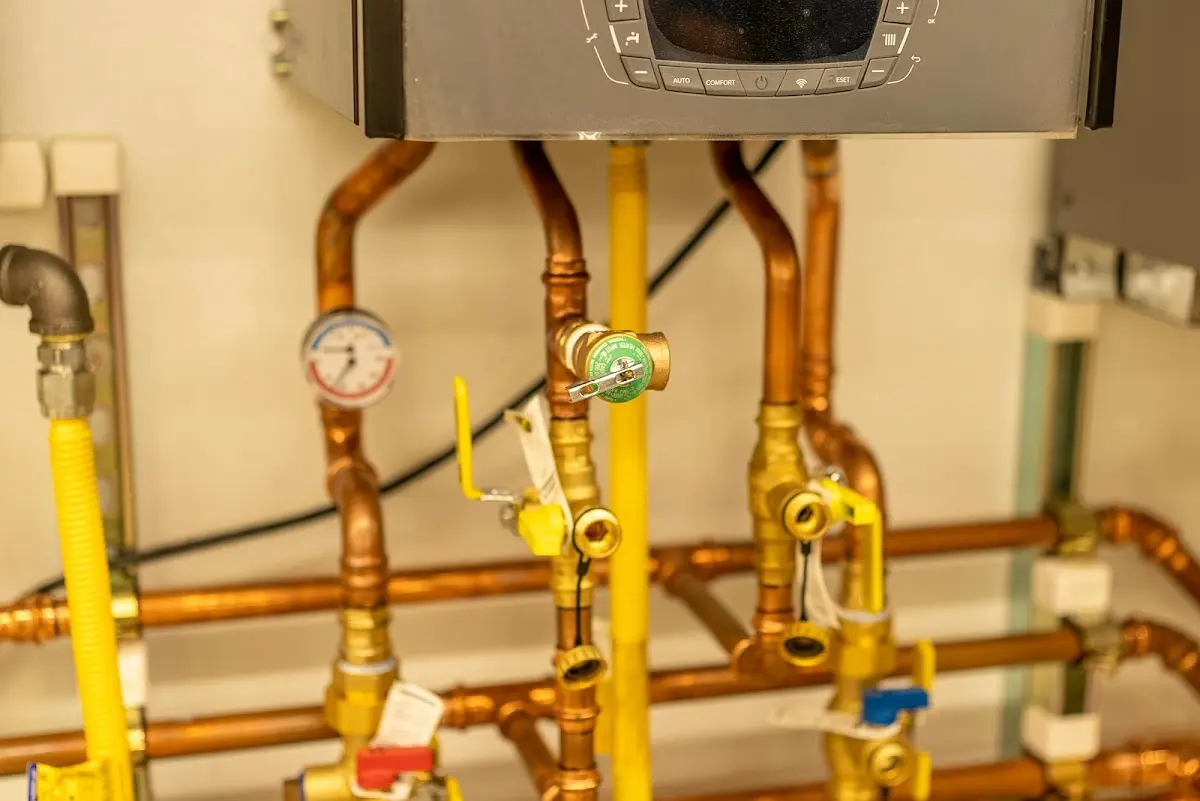 Licensed technician providing Sump Pump Repair for a homeowner in Dunn